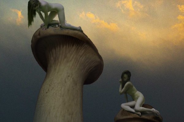 Mushroom Fairies #2 Lethe