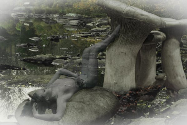 Sarah Mushroom Rocks Recline Transparent Vignette