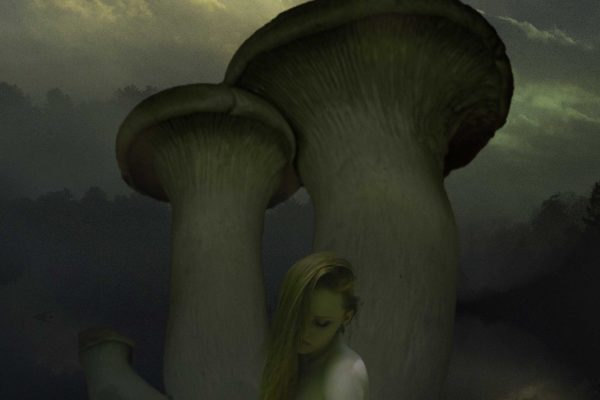 Mushroom Fairy #1 Lethe