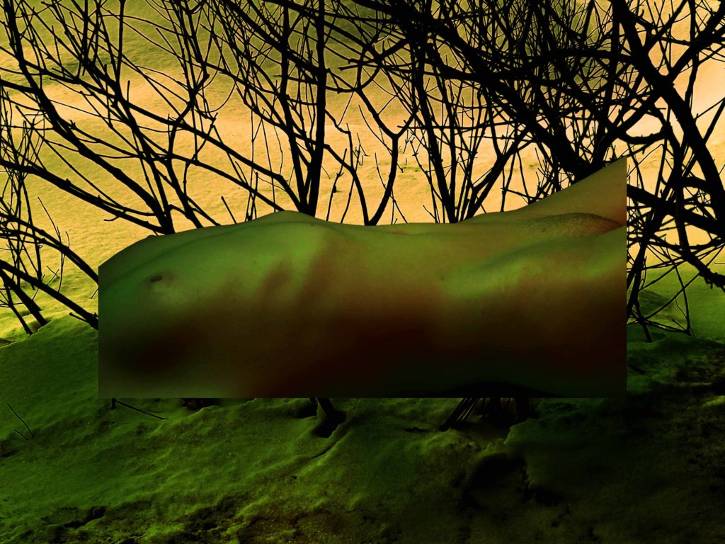 Sarah Woodscape2 20210217_172111