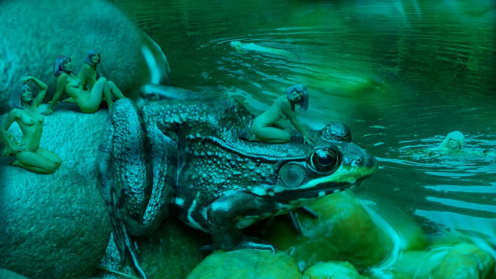 Frog P1240081 LoRes