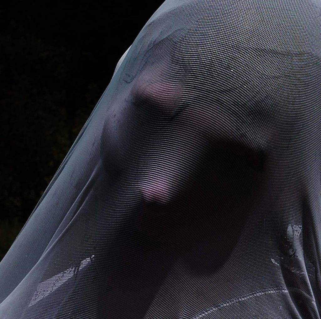 Astrid Veil #3