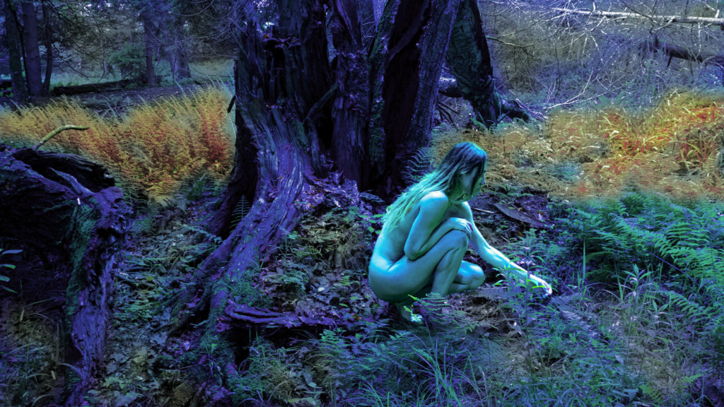 Eva Foraging in a Magical Forest P1230630