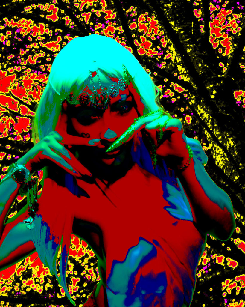 IG Stevie P1240379 copy