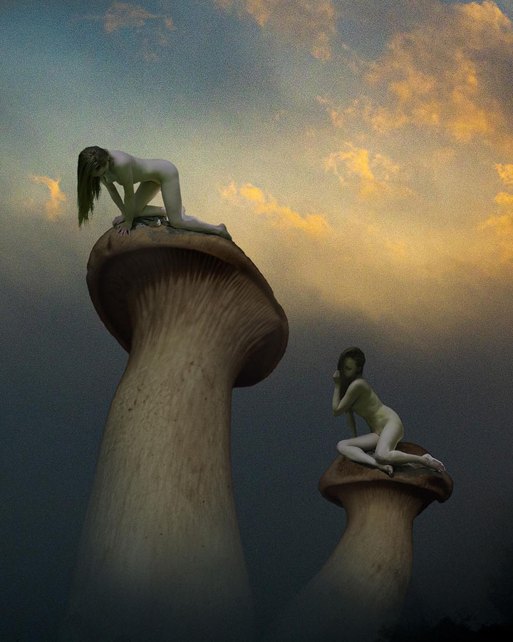 Mushroom Fairies #2 – Lethe