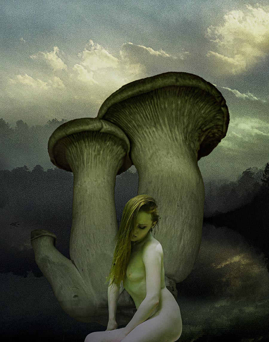 Mushroom Fairies #1 – Lethe