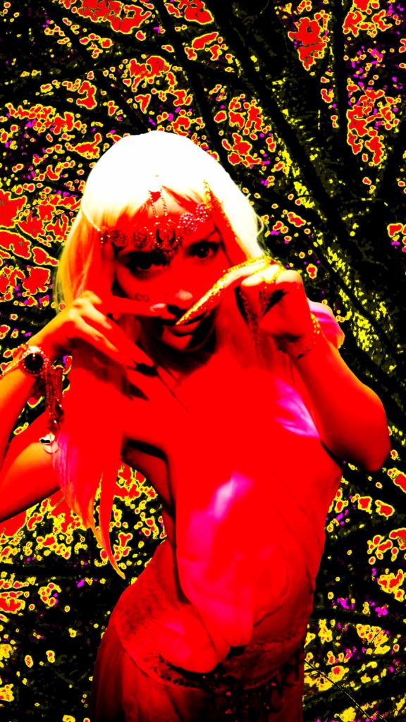 Stevie P1240379 copy