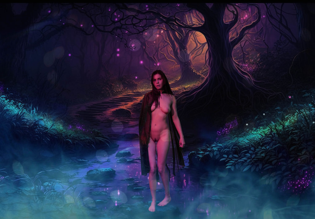 Loiis-mystical-fairy-forest